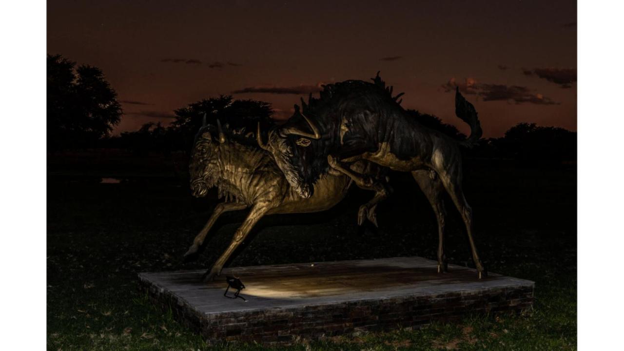 Sandune Game Lodge Gobabis Luaran gambar